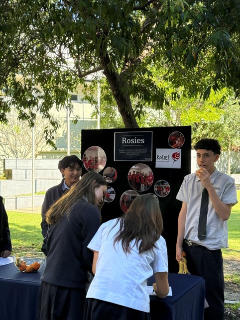 volunteerPicture6.jpg
