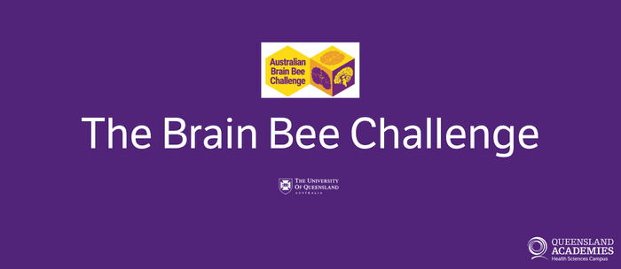 Brain Bee Banner.png