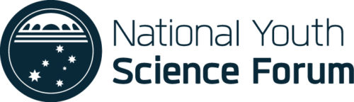 NYSF-logo.jpg