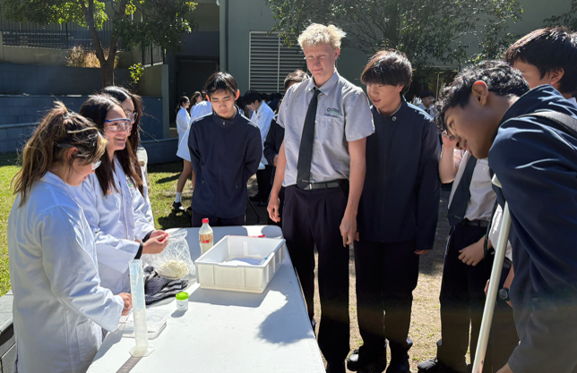 stem mentors2.png