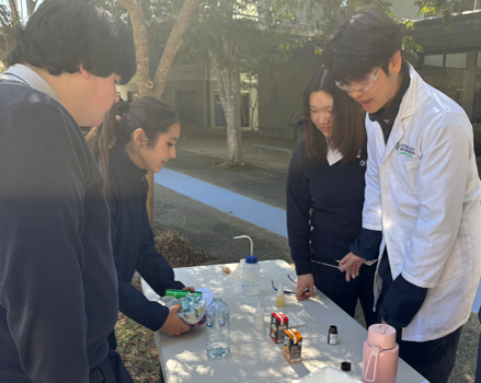 stem mentors4.png